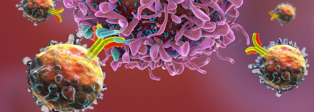 CAR-T cell killing cancer
